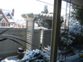 snow on the arbor.JPG